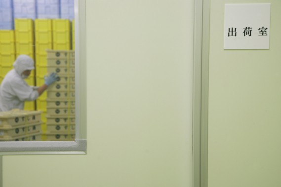 出荷